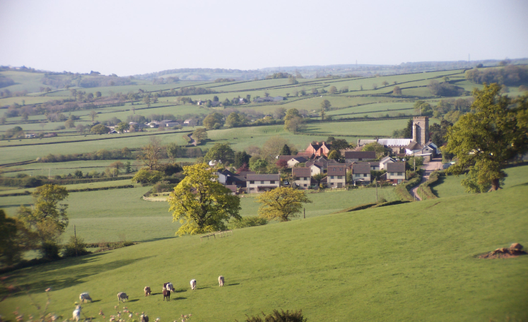 Yarcombe view